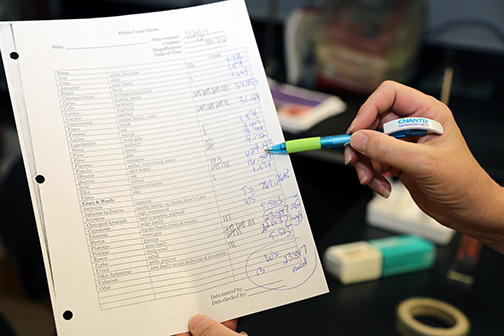 pollen count sheet